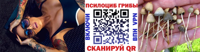 магазин Тавда Псилоцибиновые грибы Magic Shrooms