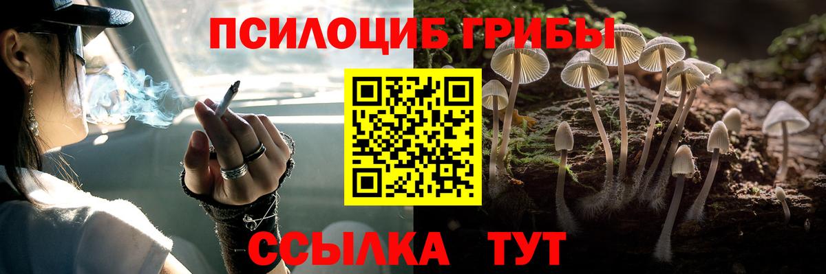 Галлюциногенные грибы Magic Shrooms  Вход с VPN  Тавда 